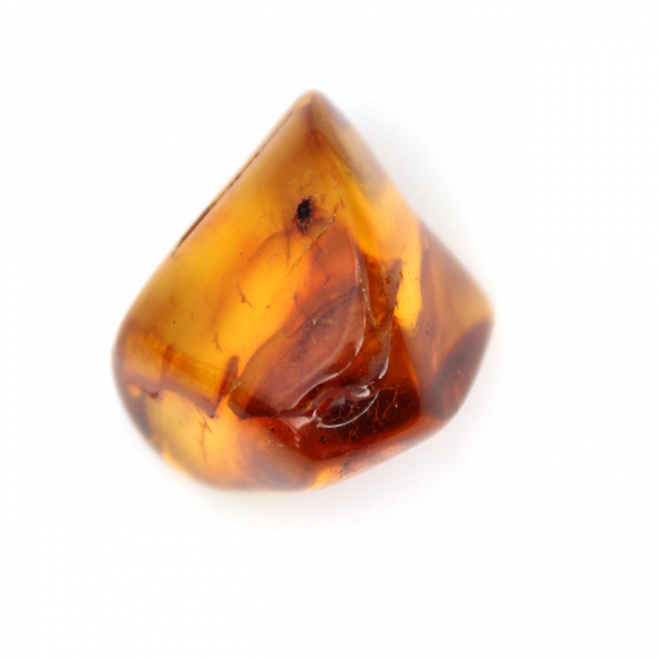 Litet exemplar av polerad bärnsten - Autentisk Litauen