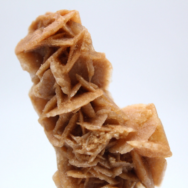 Autentisk sandros naturlig formation