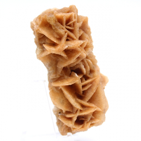 Naturlig mineralsandros Tunisien