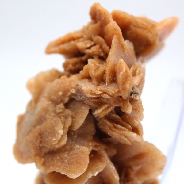 Naturliga rosa sandblock Tunisien