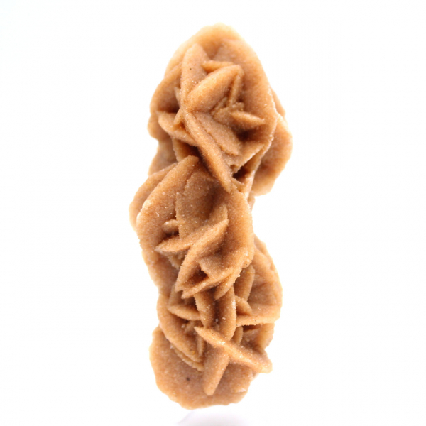 Rose des sables kollektion från Tunisien