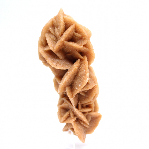 Rose des sables kollektion från Tunisien