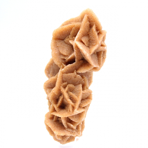 Rose des sables kollektion från Tunisien
