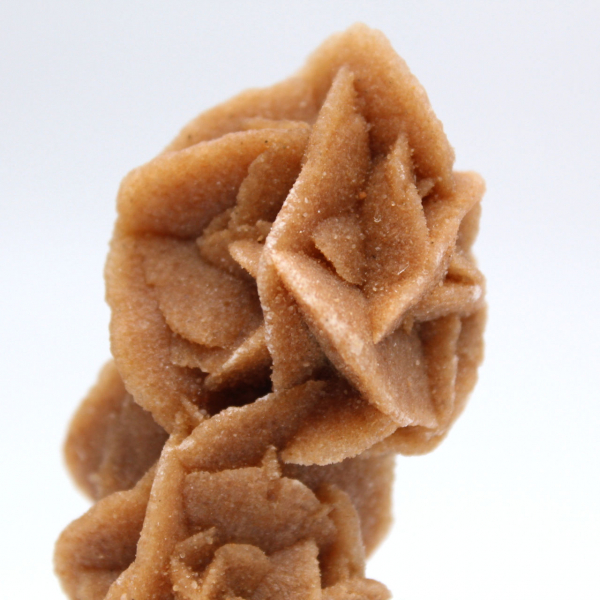 Rose des sables kollektion från Tunisien