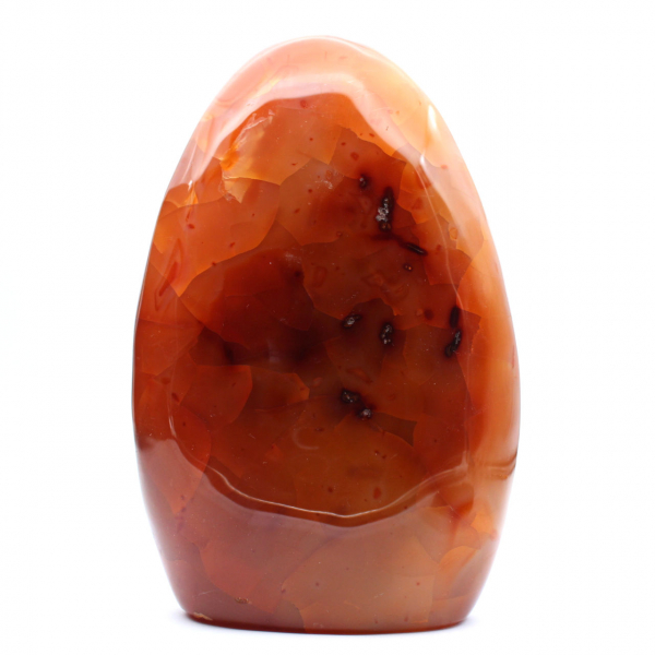 Polerad Karneol XXL Madagaskar - Autentisk Rödorange Dekorsten (Ornament)