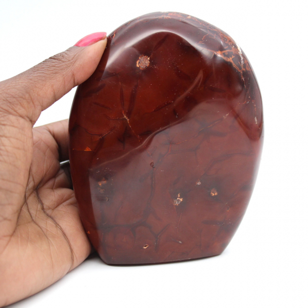 Polerad karneolkvalitetsprydnad - Naturligt samlarmineral (Madagaskar)