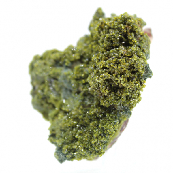 Marockansk epidot på klar matris