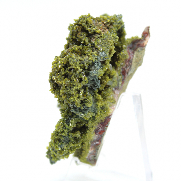 Marockansk epidot på klar matris