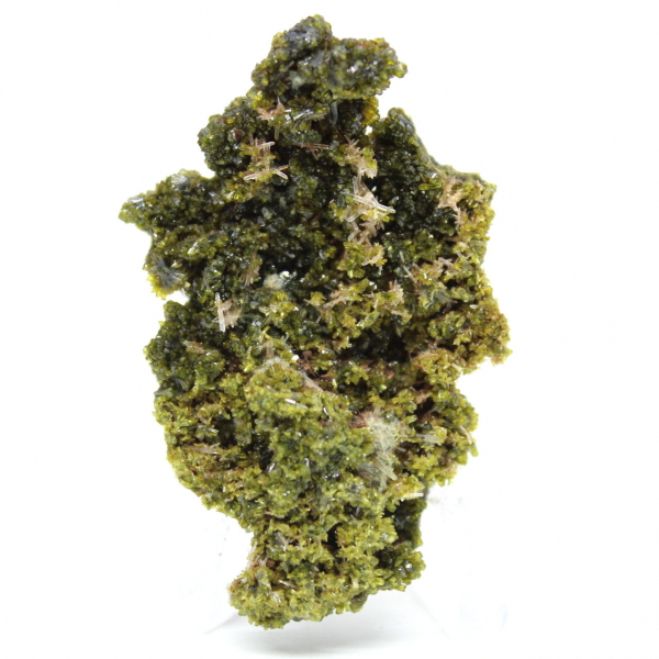 Liten epidot på en lätt matris från Marocko