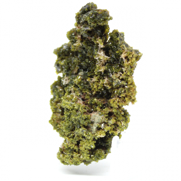 Liten epidot på en lätt matris från Marocko