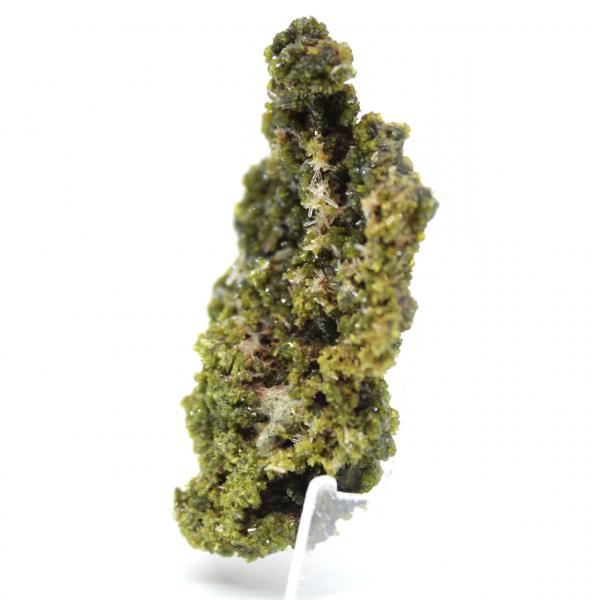 Liten epidot på en lätt matris från Marocko