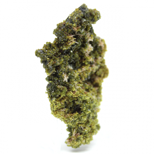 Liten epidot på en lätt matris från Marocko