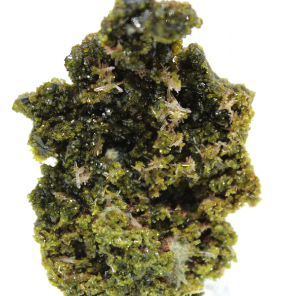 Liten epidot på en lätt matris från Marocko