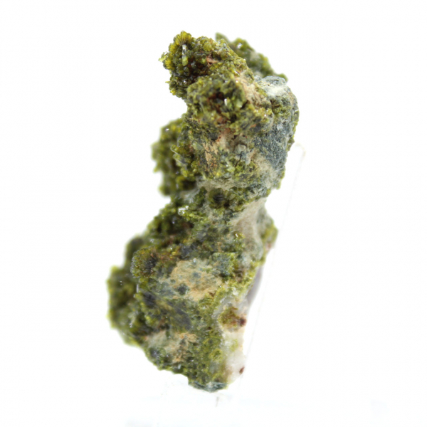 Miniatyrepidot på marockansk matris