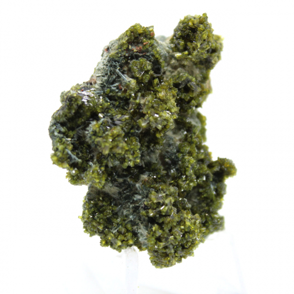 Miniatyrepidot på marockansk matris