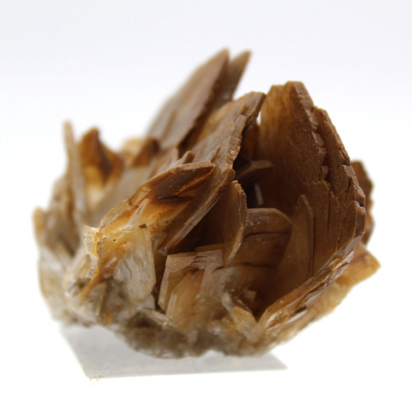 Naturligt prov av marockansk baryt