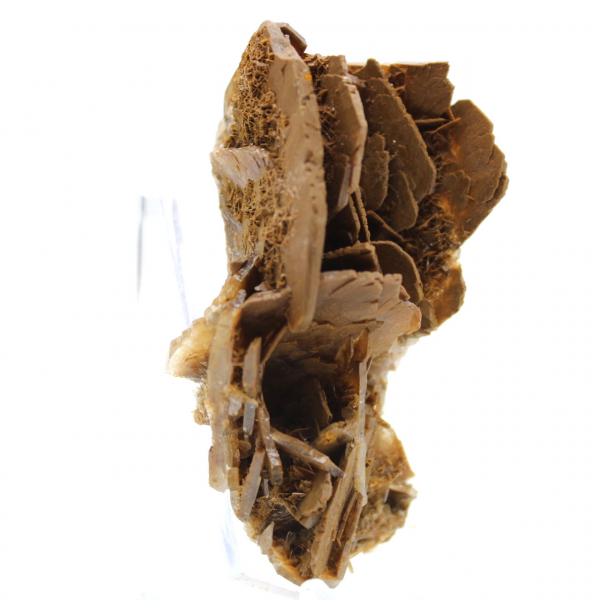 Miniatyrexemplar av baryt från Marocko