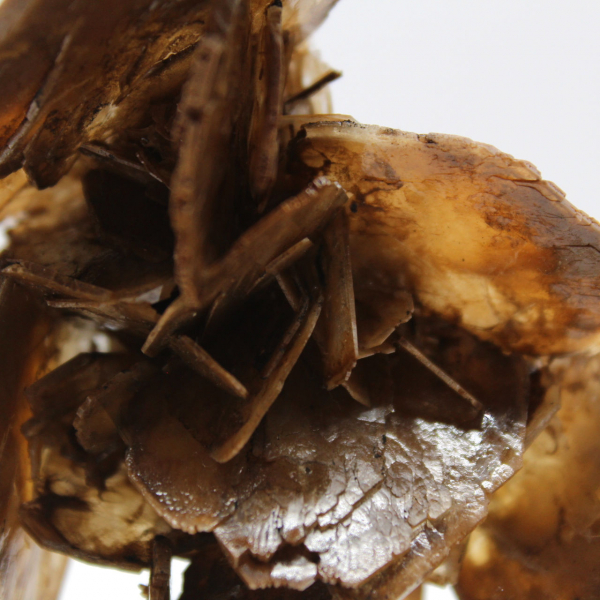 Mikrokristaller av baryt från Marocko