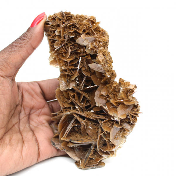 Gyllene kristaller av marockansk baryt