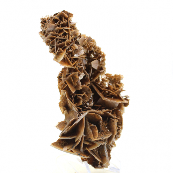 Gyllene kristaller av marockansk baryt