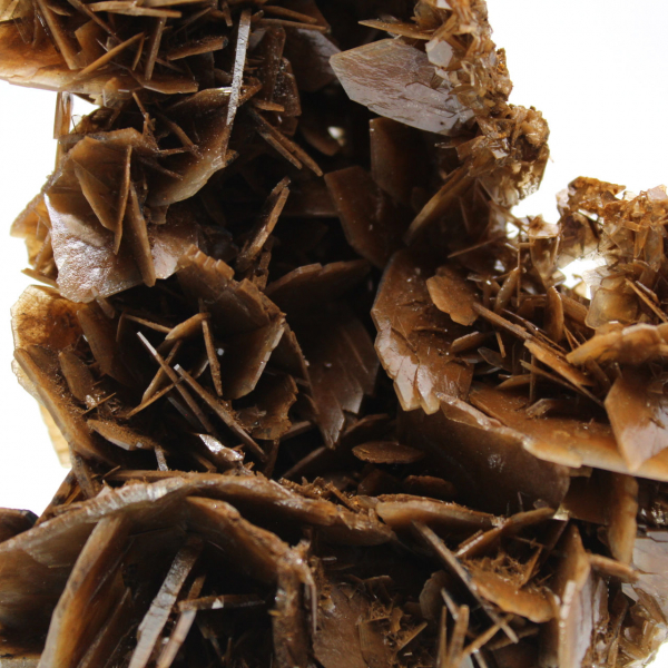 Gyllene kristaller av marockansk baryt