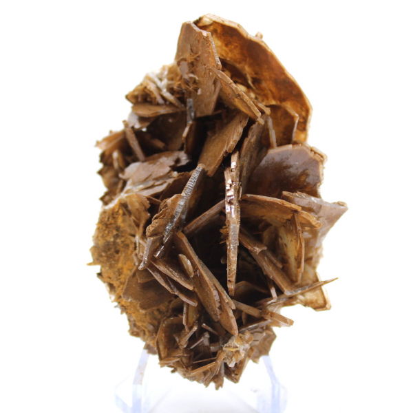 Brun kristallisering av baryt från Marocko