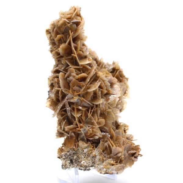 Marockanskt barytmynt med bruna kristaller