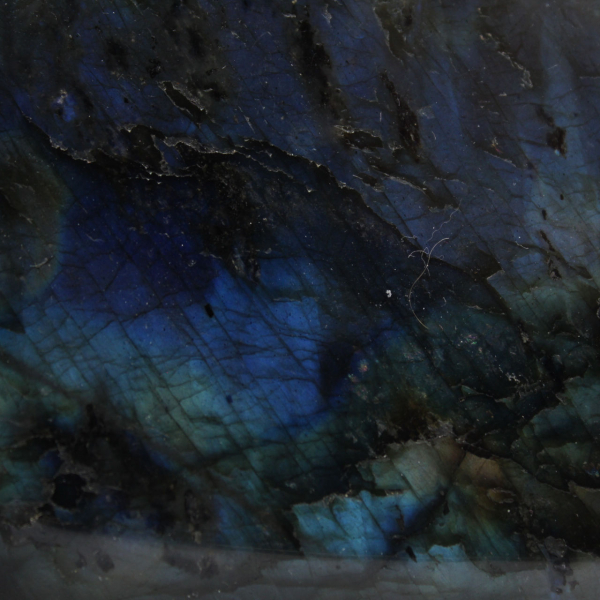 Polerad labradorit, dekorativ stenprov