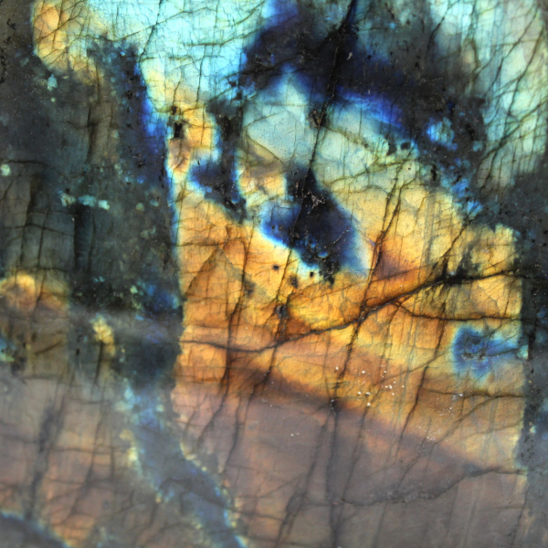 Polerad labradorit, mineralogiskt prov