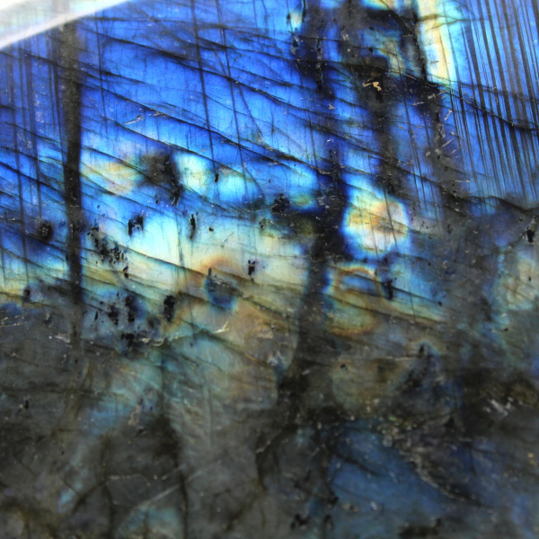 Stor polerad labradorit för samlare