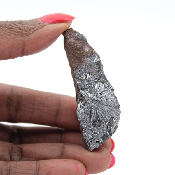 Pyrolusit, miniatyrmineral från Marocko