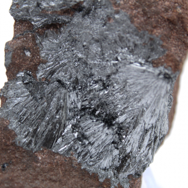 Liten pyrolusit kristalliserad på autentisk matris