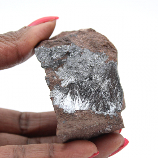 Liten pyrolusit kristalliserad på autentisk matris