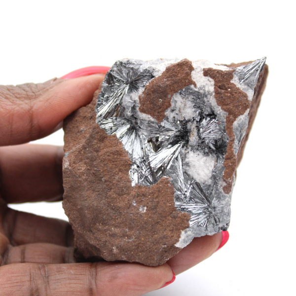 Pyrolusit, mineralogiskt prov med matris