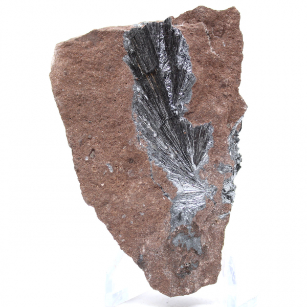 Autentiska pyrolusitkristaller på matris