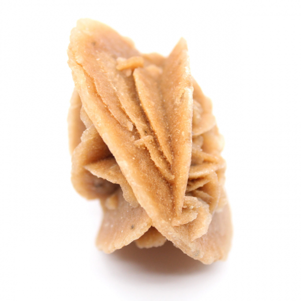 Marockansk ökenros: ett rått dekorativt föremål