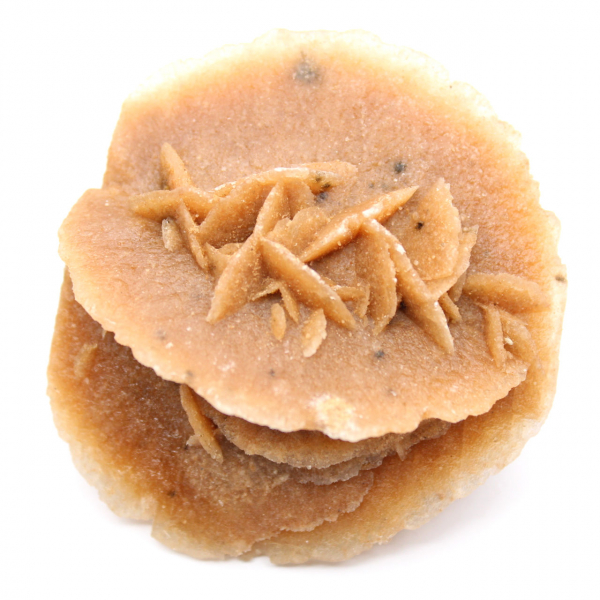 Marockansk ökenros: ett rått dekorativt föremål