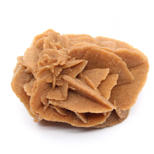 Marockansk ökenrosformation: Samlargips