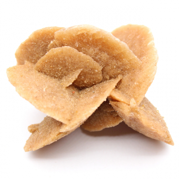 Stort exemplar av marockansk ökenros: mineralestetik