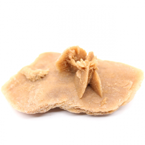 Exempel på en marockansk ökenros: ökengeometri