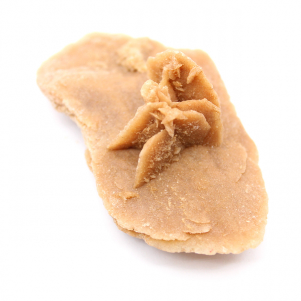 Exempel på en marockansk ökenros: ökengeometri