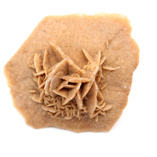 Gipsrosett från Marocko: naturlig kristall från Sahara