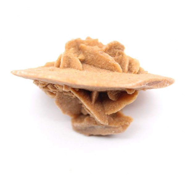 Gipsrosett från Marocko: naturlig kristall från Sahara