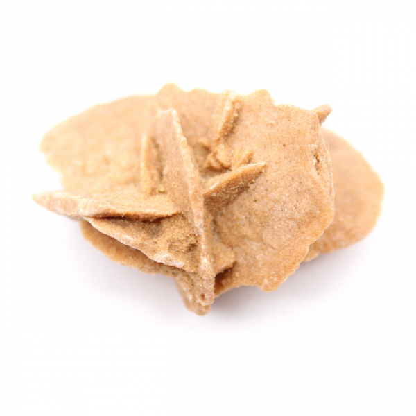 Mini marockansk ökenros: exemplar av naturligt gips