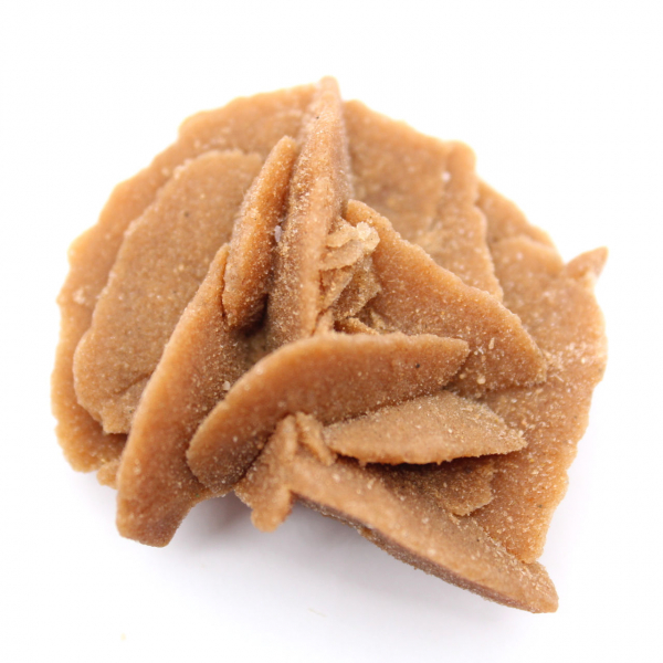 Litet fragment av ökenros: ett mineral från Marocko