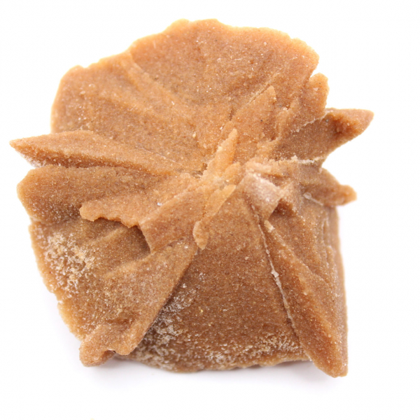 Litet fragment av ökenros: ett mineral från Marocko