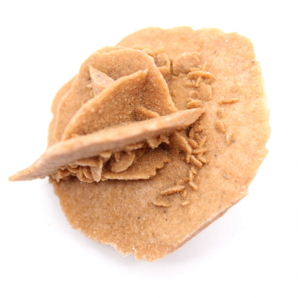 Marockansk ökenros: naturlig och estetisk gips