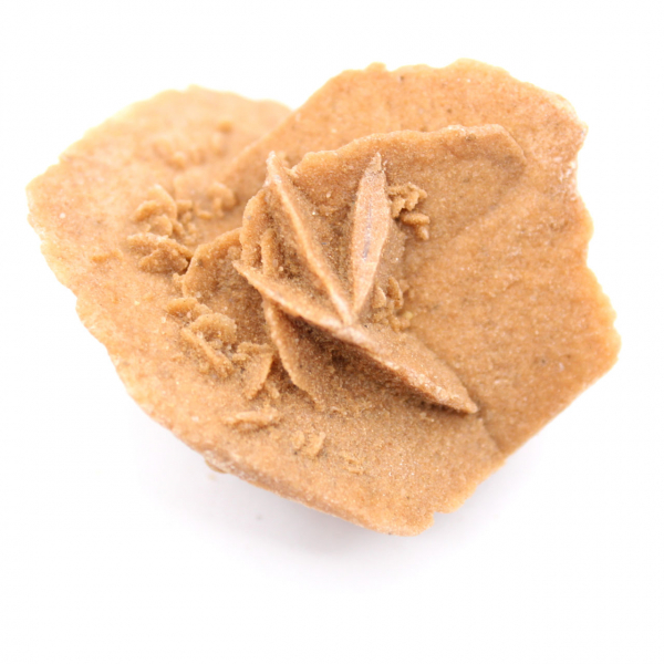 Marockansk ökenros: naturlig och estetisk gips