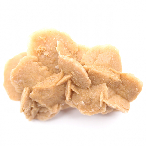 Prov av kristalliserad gips: Marockos ökenros