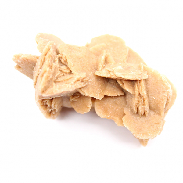 Prov av kristalliserad gips: Marockos ökenros